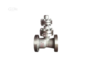 air-release-check-valve