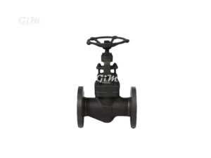 forged-steel-ansi-globe-valve