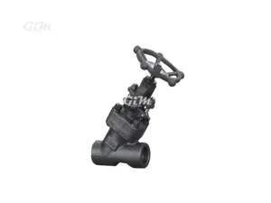 forged-steel-y-type-globe-valve