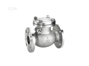 stainless-steel-swing-check-valve
