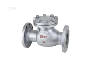 swing-check-valve