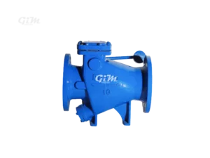 tiny-drag-slow-shut-check-valves