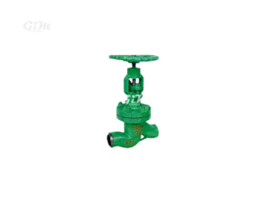 vacuum-globe-valve