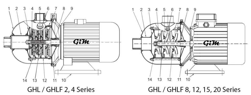 GHL GHLF Structure